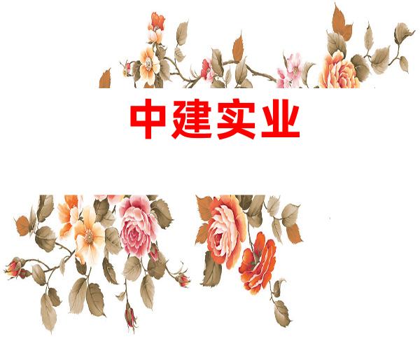 中建实业